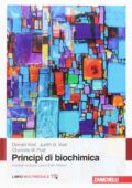 img Donald Voet, Judith G. Voet, Charlotte W. Pratt - Principi di Biochimica (2017)