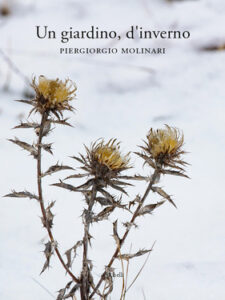 Piergiorgio Molinari – Un giardino, d’inverno (2020)