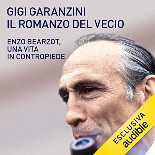 Il romanzo del vecio cover art