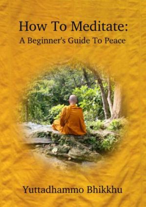 Book cover COME MEDITARE: Una guida alla pace per principianti