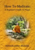 img Yuttadhammo Bhikkhu - COME MEDITARE: Una guida alla pace per principianti (2016)