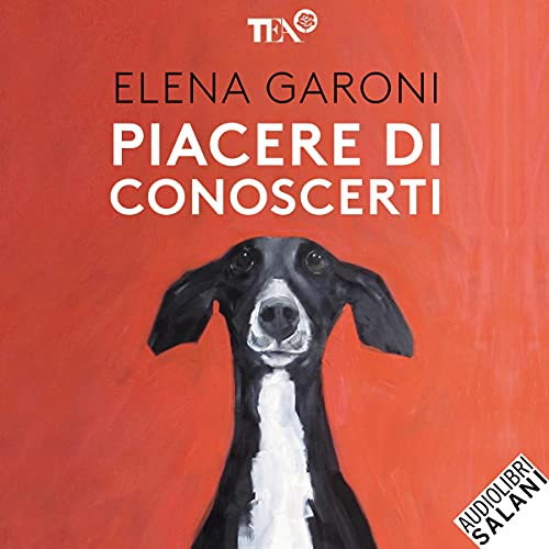 Piacere di conoscerti cover art