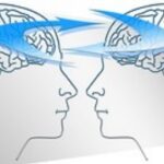 img Udemy - Comunicazione Efficace Masterclass: Psicologia e Segreti - Ita