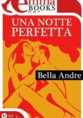 Bella Andre - Una notte perfetta (2012)