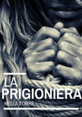 Ann Owen - La prigioniera nella torre  (2020)