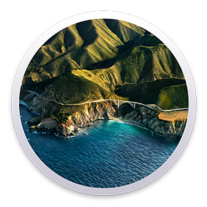 [MAC] macOS Big Sur 11.3.1 (20E241) - ITA