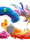 Adobe Creative Cloud Collection 2021 (17-08-2021) 64 Bit - Ita
