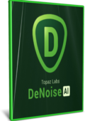 img Topaz DeNoise AI 3.1.0 x64 - ENG (2...
