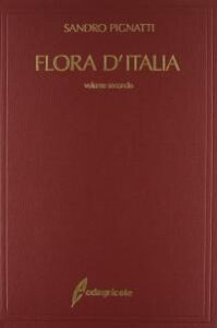Sandro Pignatti – Flora d’Italia Vol. 2 (2002)