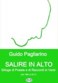 img Guido Pagliarino - Salire in alto (...