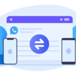 img Syncios WhatsApp Transfer 2.3.1 - ITA
