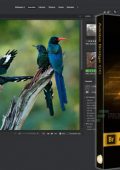 img Adobe Bridge 2021 (x64) Multilingua...
