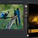 img Adobe Bridge 2021 (x64) Multilingual