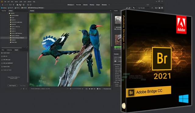 Adobe Bridge 2021 (x64) Multilingual