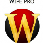 img Wipe Professional 2021.09 - ITA