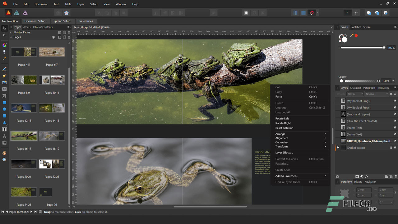 Serif Affinity Photo 1.9.2.1035 Final / 1.10.0.1085 Beta ENG
