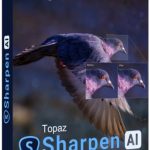 img Topaz Sharpen AI v3.1.2 Portable