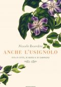 img Niccolò Reverdini - Anche l