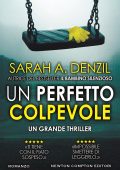 Sarah A. Denzil - Un perfetto colpevole (2021)