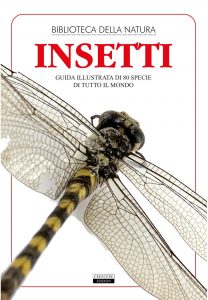 Liborio Daniele Festa (a cura di) – Insetti (2021)