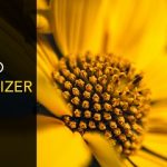 img [PORTABLE] InPixio Photo Maximizer Pro v5.2.7759.20869 Portable - ITA