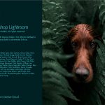 img Adobe Photoshop Lightroom CC v4.3 64 Bit - ITA