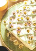 img Torta con Panna e Margherite (2021)