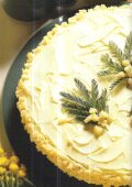img Torta Mimosa (2021)