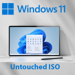 img Windows 11 Pro 22000.65