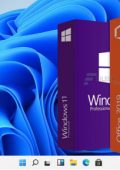 img Windows 11 Pro + Office 2019 Pro Pl...