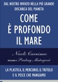 img Nicolò Carnimeo - Com