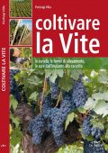 Pierluigi Villa - Coltivare la Vite (2012)
