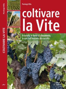 Pierluigi Villa – Coltivare la Vite (2012)