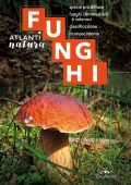 img Luigi Fenaroli - Funghi (2021)