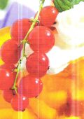 img Gelatina di Albicocche e Ribes (2021)