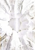 img Ghirlanda di Neve (2021)