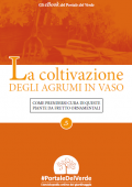 img La Coltivazione degli agrumi in vaso (2021)