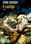 John Verdon - Il castigo (2012)