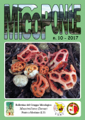 img MicoPonte n. 10 (2017)