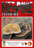 img MicoPonte n. 11 (2018)