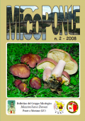 img MicoPonte n. 2 (2008)