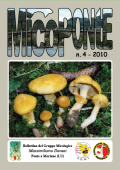 img MicoPonte n. 4 (2010)