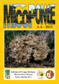 img MicoPonte n. 6 (2012)