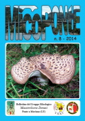 img MicoPonte n. 8 (2014)