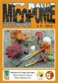 img MicoPonte n. 9 (2016)