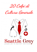 img Seattle Grey  - 	20 colpi di cultura generale (PDF)