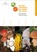 img Atlante Illustrato dei Funghi (2021)