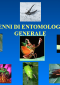 img Cenni di Entomologia Generale (2021)