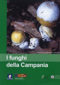 img Funghi della Campania (2021)