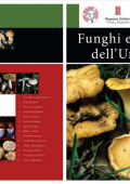 img Funghi e Tartufi d